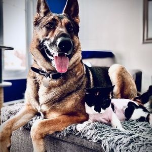 Meet your Posher, Marie